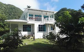 Posada Mango Tree